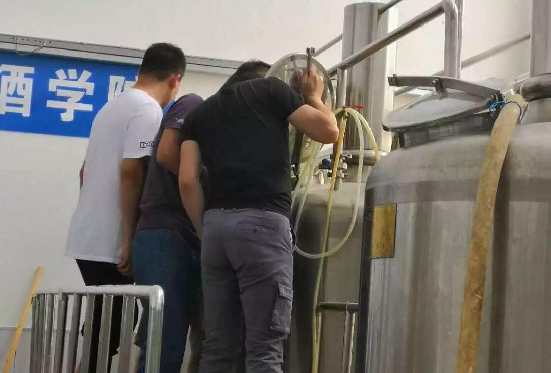 “拔高”必备||啤酒酿造技术提升班 “拔高”必备||啤酒酿造技术提升班