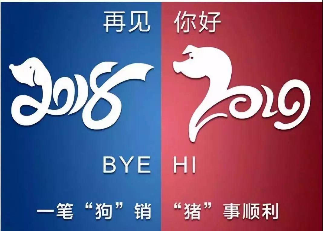 2019,“猪”事皆宜 2019,“猪”事皆宜