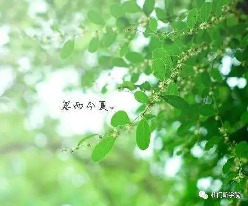 蛙声蝉鸣,杜门斯6月精酿技术回顾 蛙声蝉鸣,杜门斯6月精酿技术回顾