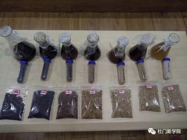 3月春风,精酿培训回顾 3月春风,精酿培训回顾