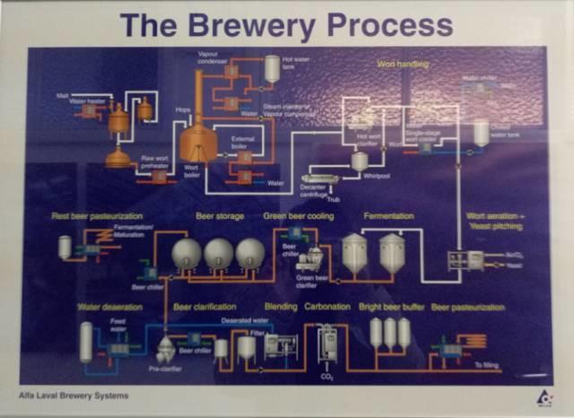 2016德国游学趣闻(Ⅲ)——走进杜门斯学院 2016德国游学趣闻(Ⅲ)——走进杜门斯学院