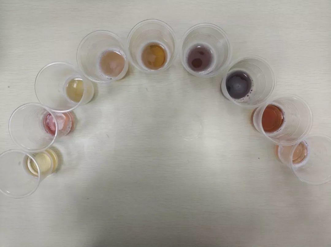 四月精酿初级课回顾篇 四月精酿初级课回顾篇