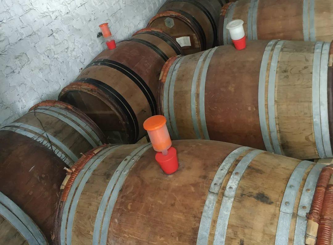 游学日志(一) 游学日志(一)