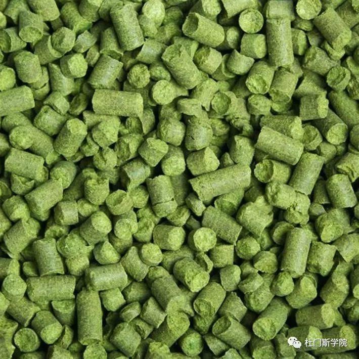 【干货】关于啤酒花的一些事,你该知道 【干货】关于啤酒花的一些事,你该知道