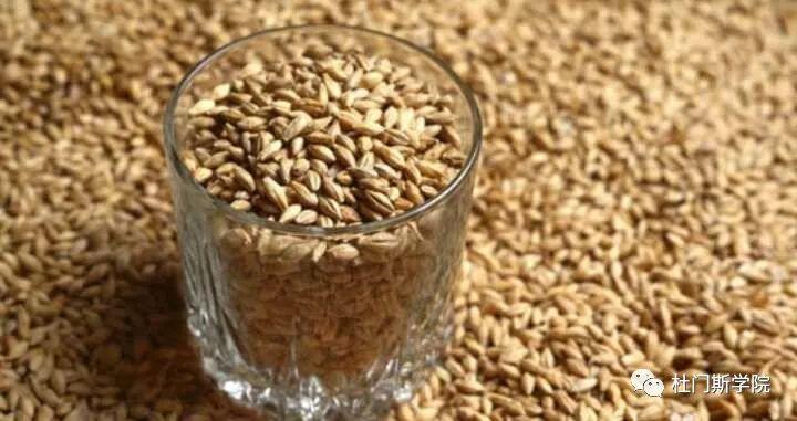 【干货】麦芽质量较差时,如何改进糖化的投料方法? 【干货】麦芽质量较差时,如何改进糖化的投料方法?