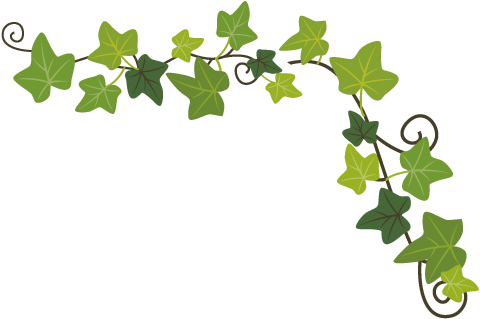 今年夏天,酿好一杯啤酒 今年夏天,酿好一杯啤酒