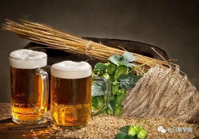 【知识篇】多酚对于啤酒的重要性,你知道多少? 【知识篇】多酚对于啤酒的重要性,你知道多少?