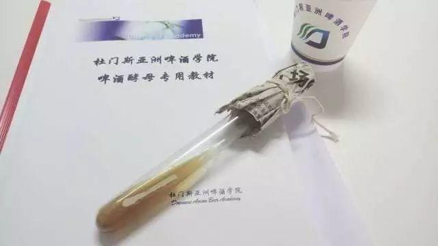 那些天,你错过的酵母必修课,Don't Cry ,我们明年见! 那些天,你错过的酵母必修课,Don't Cry ,我们明年见!