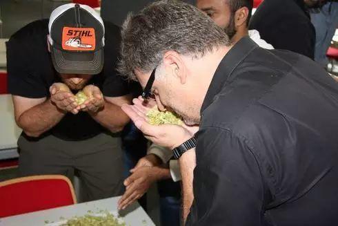 2016德国游学趣闻(Ⅲ)——走进杜门斯学院 2016德国游学趣闻(Ⅲ)——走进杜门斯学院