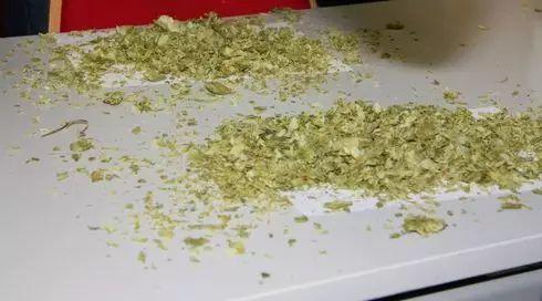 德国游学趣闻(Ⅲ)——走进杜门斯学院 德国游学趣闻(Ⅲ)——走进杜门斯学院