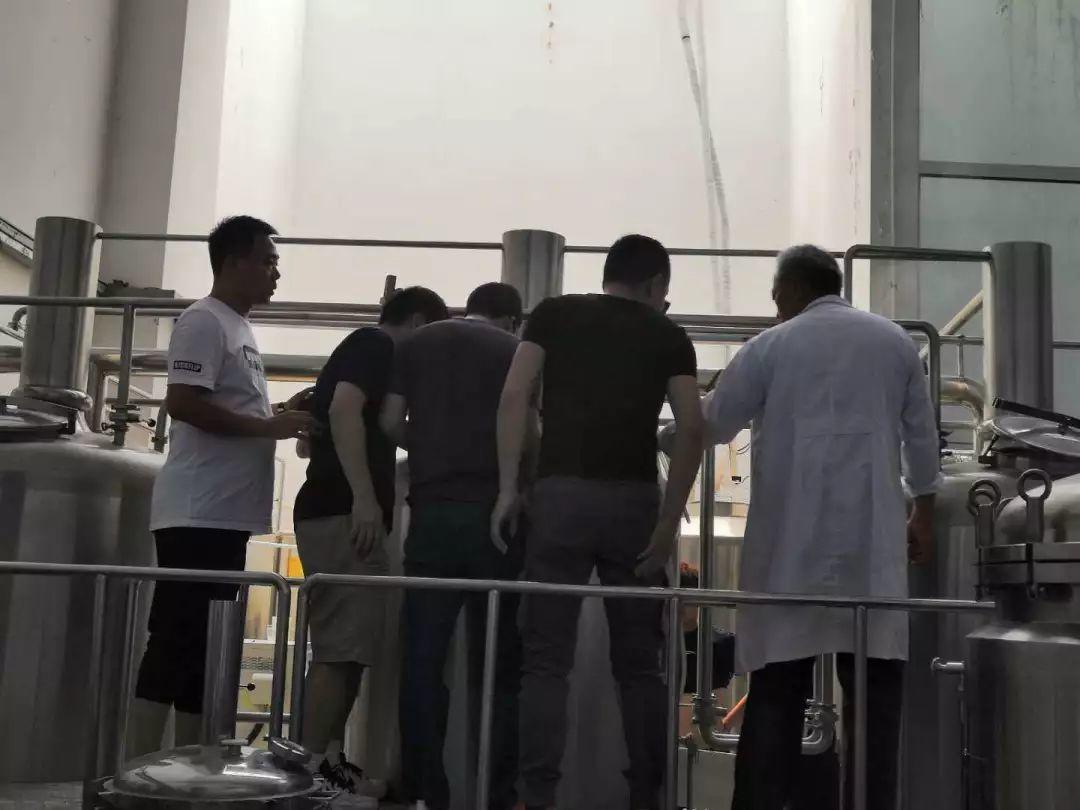 “拔高”必备||啤酒酿造技术提升班 “拔高”必备||啤酒酿造技术提升班