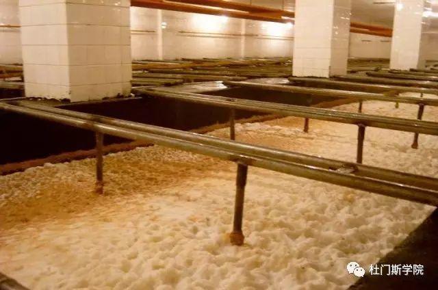 【干货】啤酒发酵过程的控制 【干货】啤酒发酵过程的控制