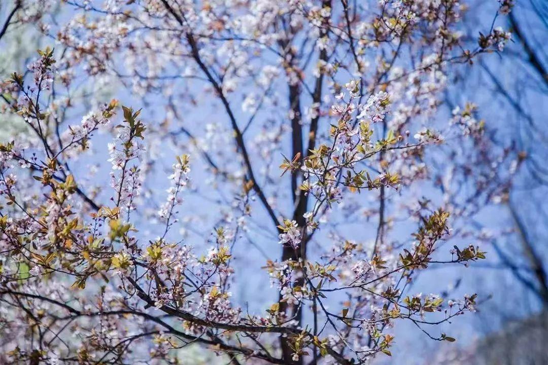 回顾春天三月的我们 回顾春天三月的我们