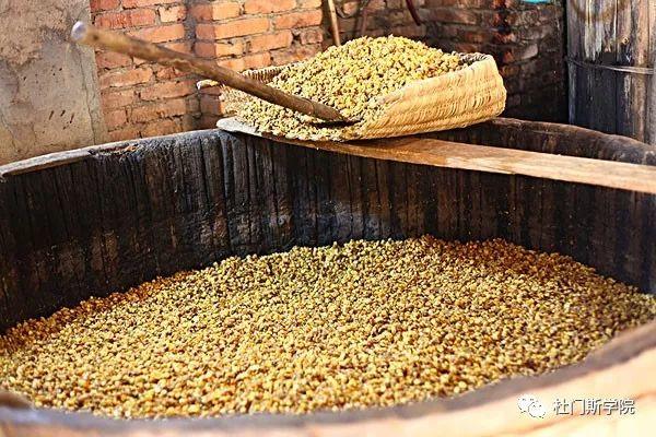 【干货】之糖化工艺与酶的作用关系 【干货】之糖化工艺与酶的作用关系