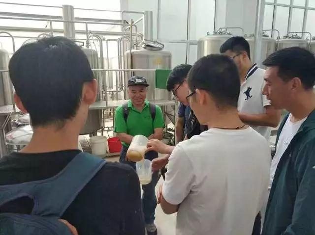 今年夏天,酿好一杯啤酒 今年夏天,酿好一杯啤酒