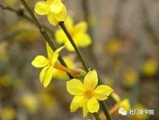 “心”起点,新征程|十天告别精酿“小白” “心”起点,新征程|十天告别精酿“小白”