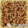 【干货】特种麦芽选择制造 【干货】特种麦芽选择制造
