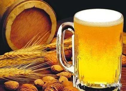 精酿小白变小强~~~精酿啤酒酿造基础培训 精酿小白变小强~~~精酿啤酒酿造基础培训