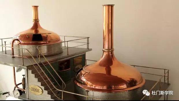 糖化过程中主要物质的转化 糖化过程中主要物质的转化