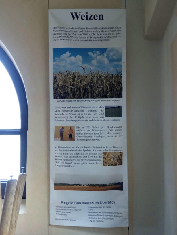 2016德国游学趣闻(Ⅱ)——顶级啤酒厂零距离 2016德国游学趣闻(Ⅱ)——顶级啤酒厂零距离