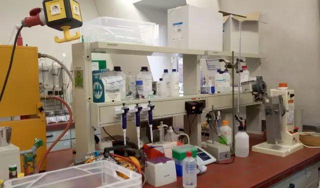 德国游学趣闻(Ⅲ)——走进杜门斯学院 德国游学趣闻(Ⅲ)——走进杜门斯学院