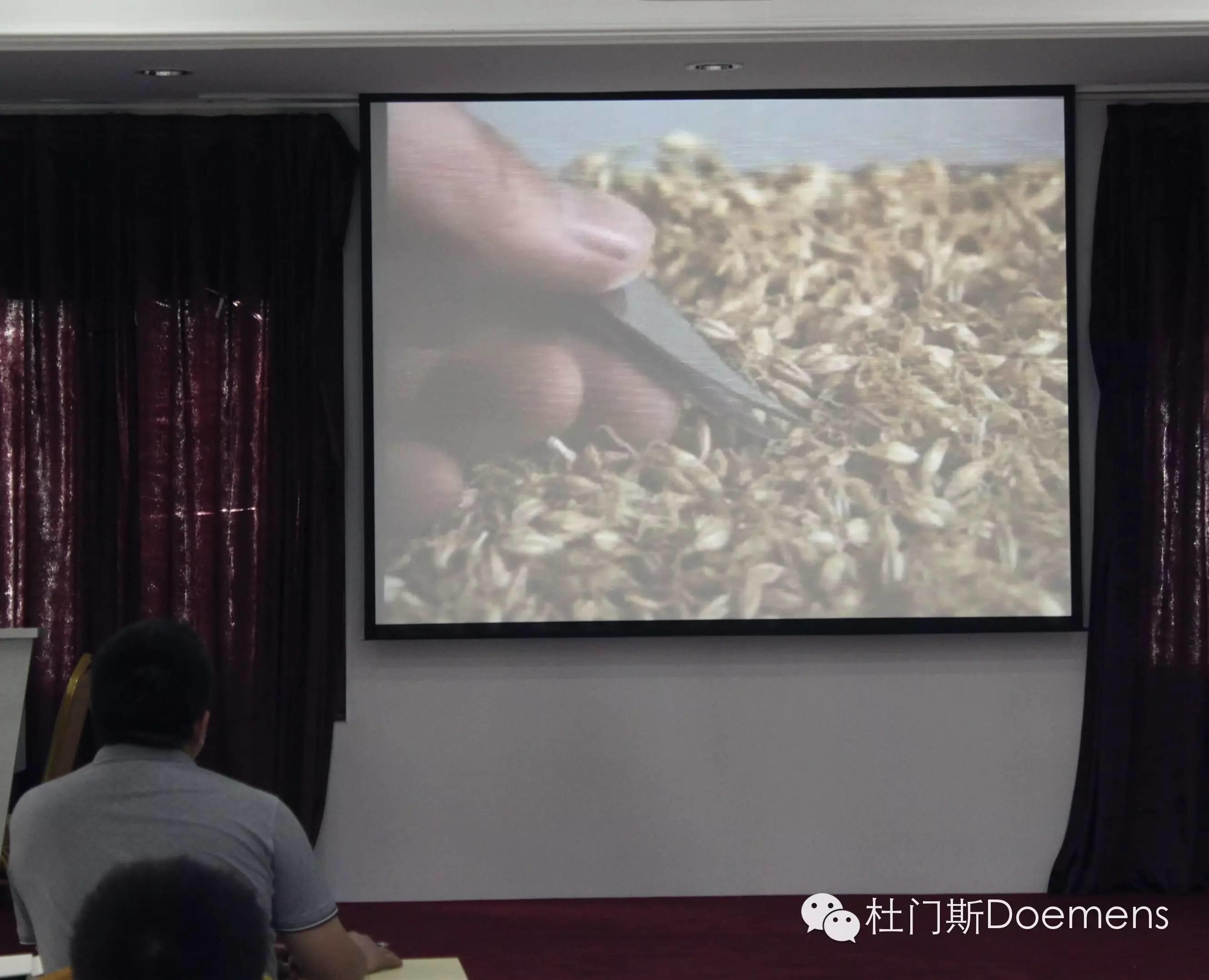 6月22日-7月4日 两周《啤酒酿酒师培训班》进入第五天 6月22日-7月4日 两周《啤酒酿酒师培训班》进入第五天