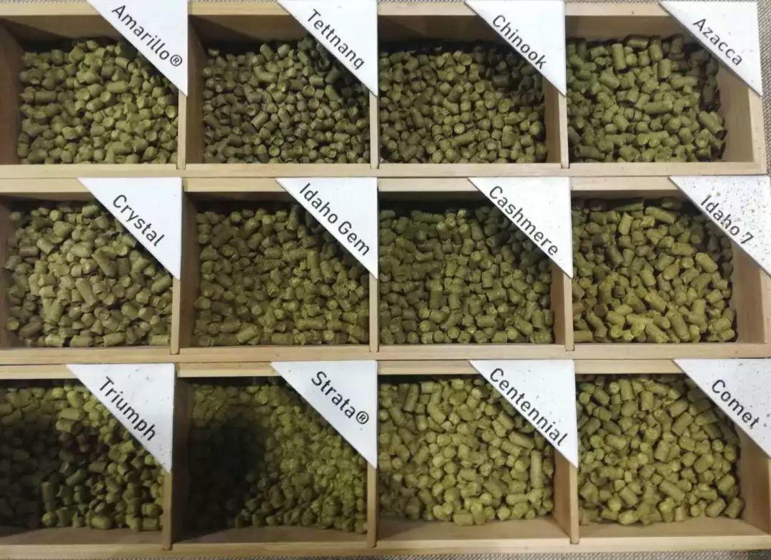 回顾揭秘之旅||发现美国啤酒文化的多彩 回顾揭秘之旅||发现美国啤酒文化的多彩