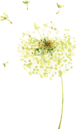 8月精酿啤酒酿造提升课火爆预约中 8月精酿啤酒酿造提升课火爆预约中