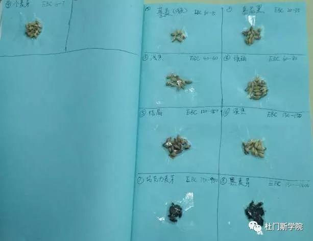 脱“白”日记 脱“白”日记