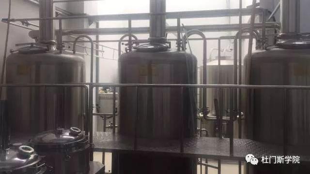 脱“白”日记 脱“白”日记