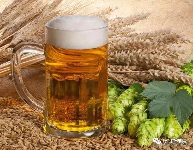 精酿啤酒之麦芽制造篇 精酿啤酒之麦芽制造篇