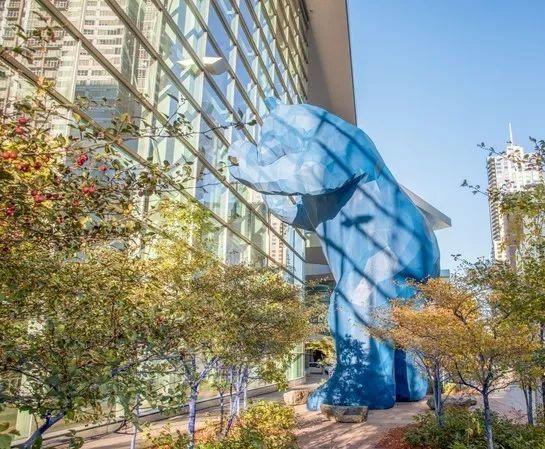 回顾揭秘之旅||发现美国啤酒文化的多彩 回顾揭秘之旅||发现美国啤酒文化的多彩