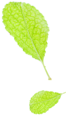 干货|传统步骤—洗糟 干货|传统步骤—洗糟