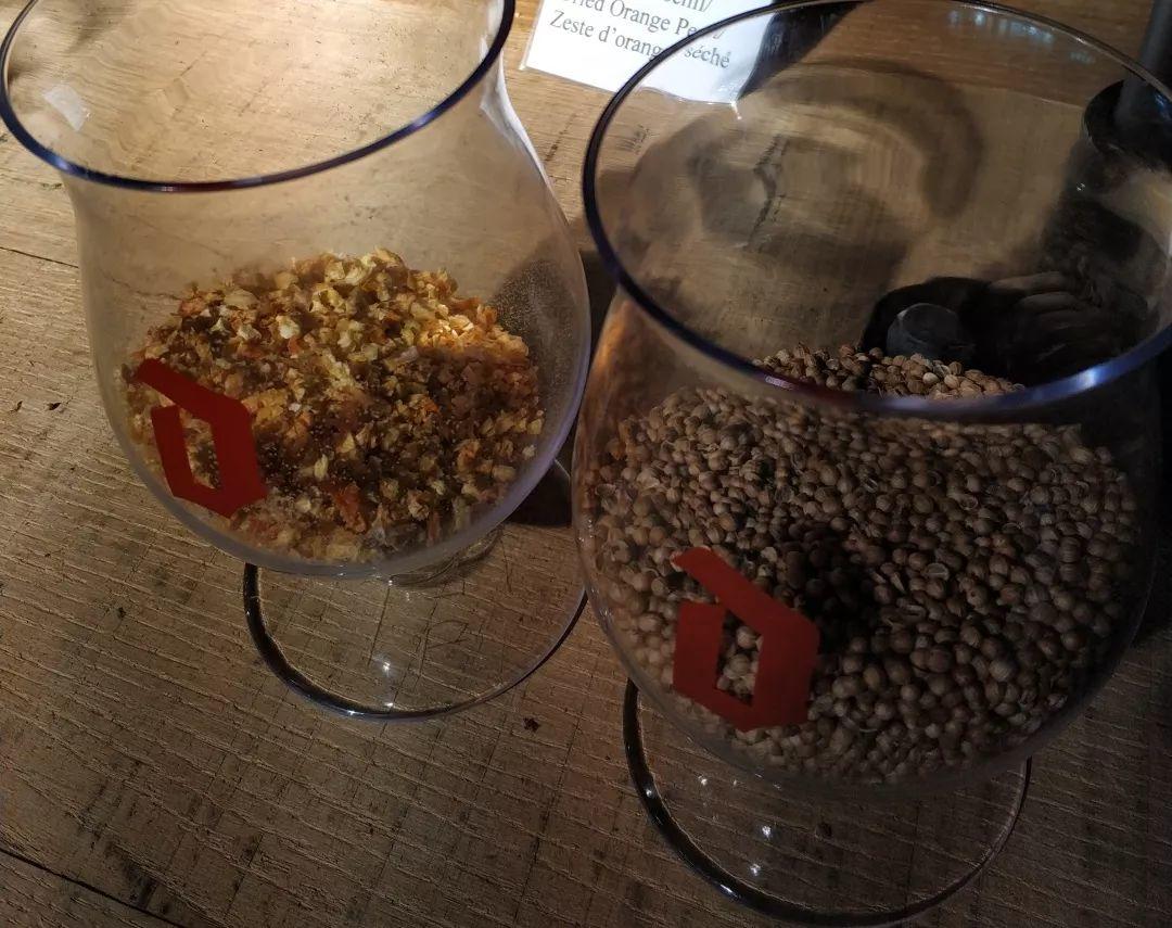 游学日志(一) 游学日志(一)