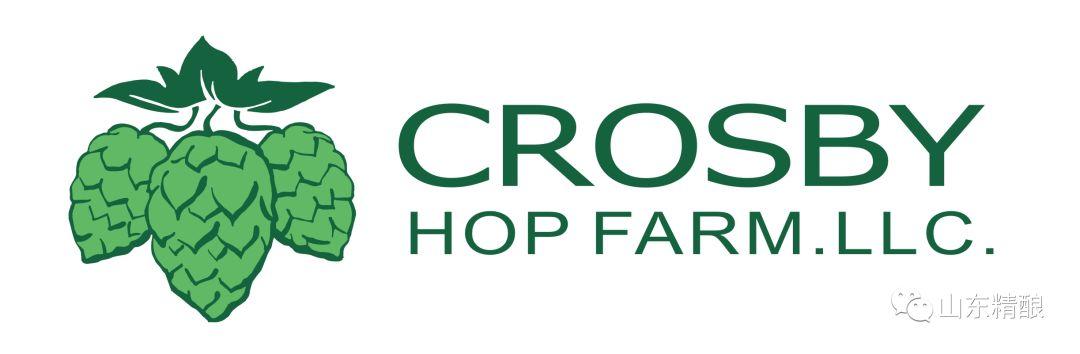 2018年山东省第十一届精酿啤酒交流聚会 2018年山东省第十一届精酿啤酒交流聚会