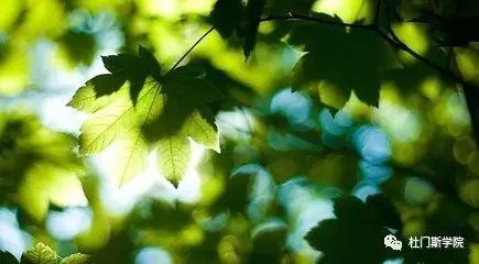 无啤酒不夏天,杜门斯学院伴你清凉一夏 无啤酒不夏天,杜门斯学院伴你清凉一夏