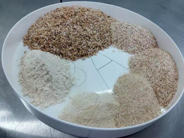 德国游学趣闻(Ⅲ)——走进杜门斯学院 德国游学趣闻(Ⅲ)——走进杜门斯学院