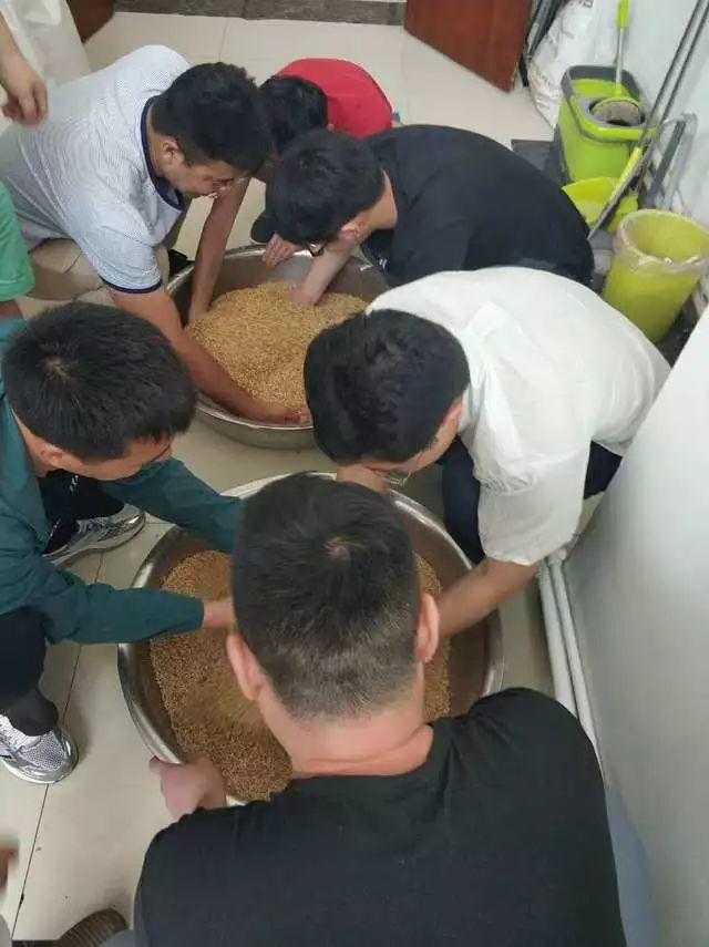 今年夏天,酿好一杯啤酒 今年夏天,酿好一杯啤酒