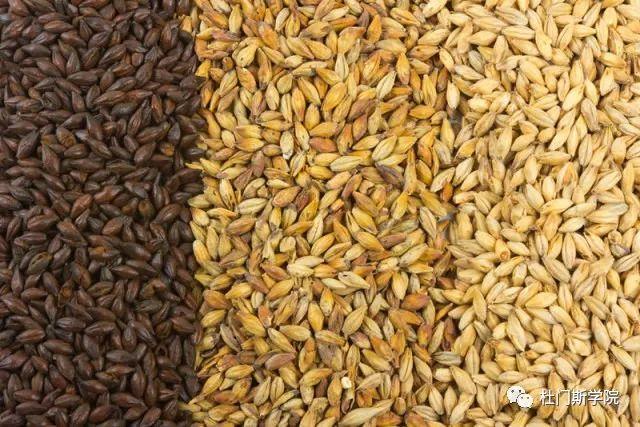 【干货】特种麦芽选择制造(下) 【干货】特种麦芽选择制造(下)