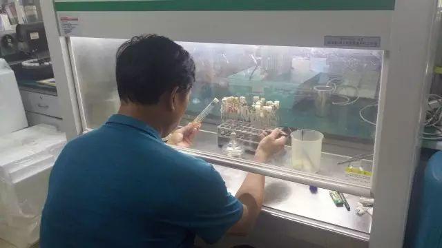 那些天,你错过的酵母必修课,Don't Cry ,我们明年见! 那些天,你错过的酵母必修课,Don't Cry ,我们明年见!