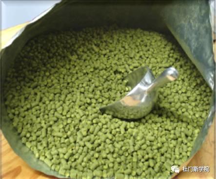 90型和45型颗粒酒花 90型和45型颗粒酒花