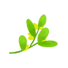 回顾春天三月的我们 回顾春天三月的我们