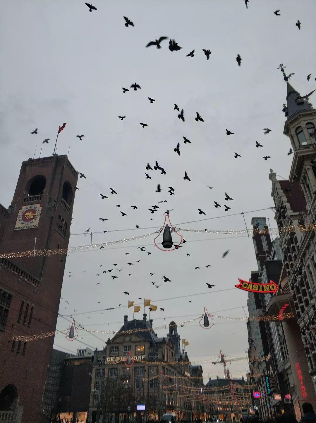 游学日志(一) 游学日志(一)