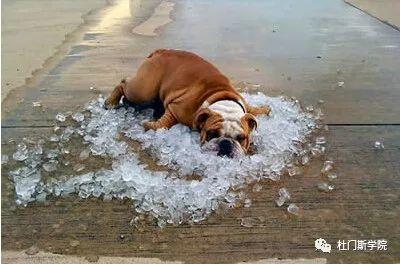 夏日炎炎,小心啤酒“中暑”! 夏日炎炎,小心啤酒“中暑”!