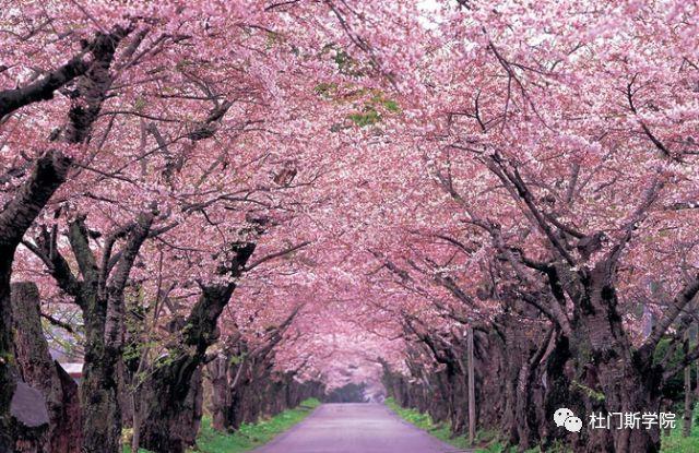 最美四月我们一起约起,把简单的事做好 最美四月我们一起约起,把简单的事做好