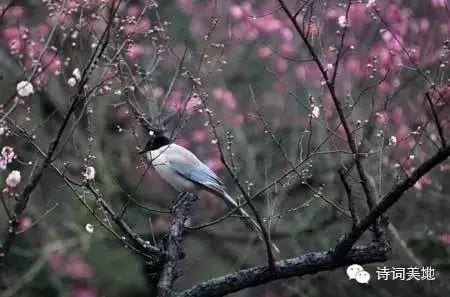 大年初七,立春啦!杜门斯给您送上春天第一声问候! 大年初七,立春啦!杜门斯给您送上春天第一声问候!