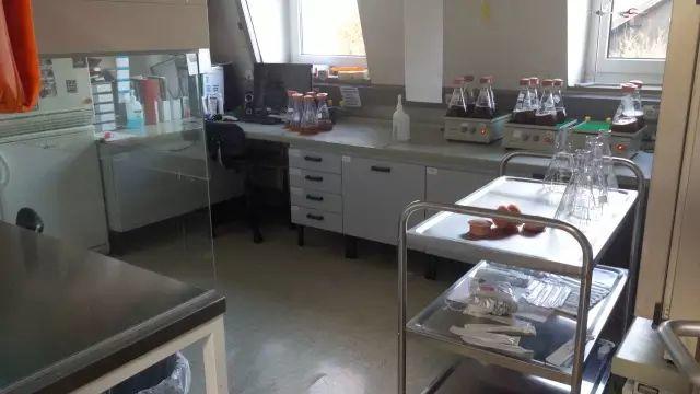 德国游学趣闻(Ⅲ)——走进杜门斯学院 德国游学趣闻(Ⅲ)——走进杜门斯学院