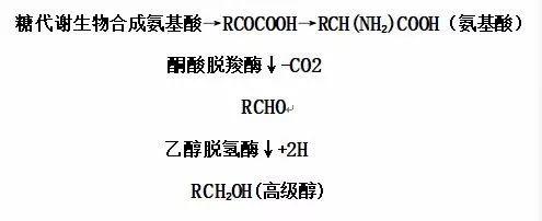 干货课堂 | 高级醇背后的知识 干货课堂 | 高级醇背后的知识