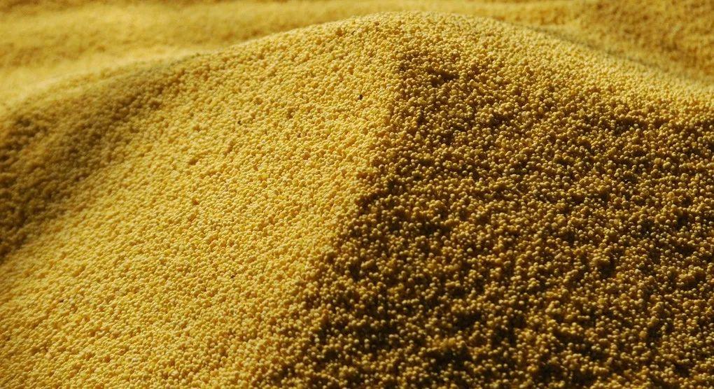 【干货】之糖化的适宜条件及控制方法 【干货】之糖化的适宜条件及控制方法