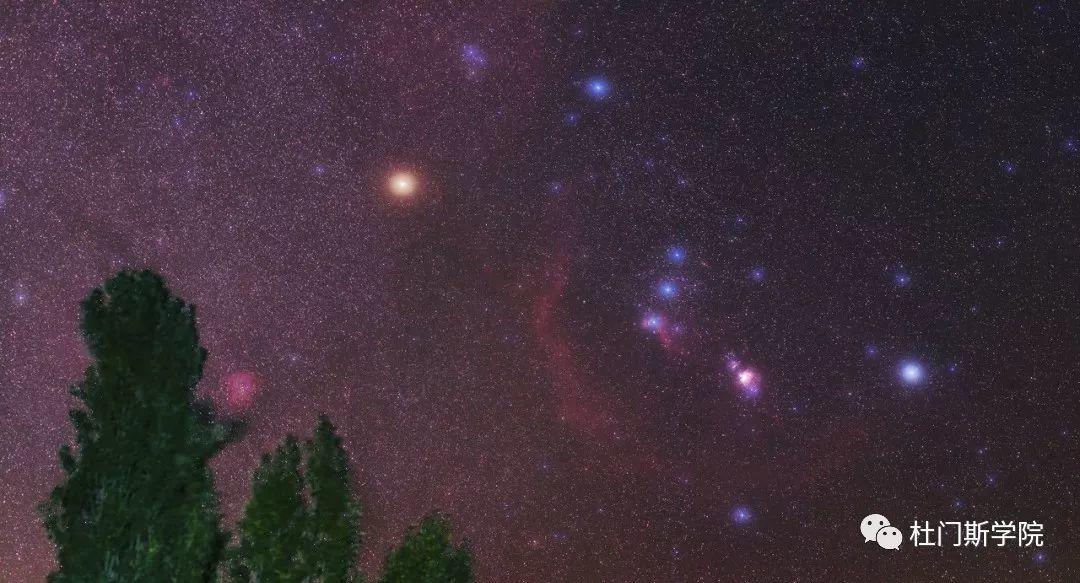 星座与啤酒 星座与啤酒